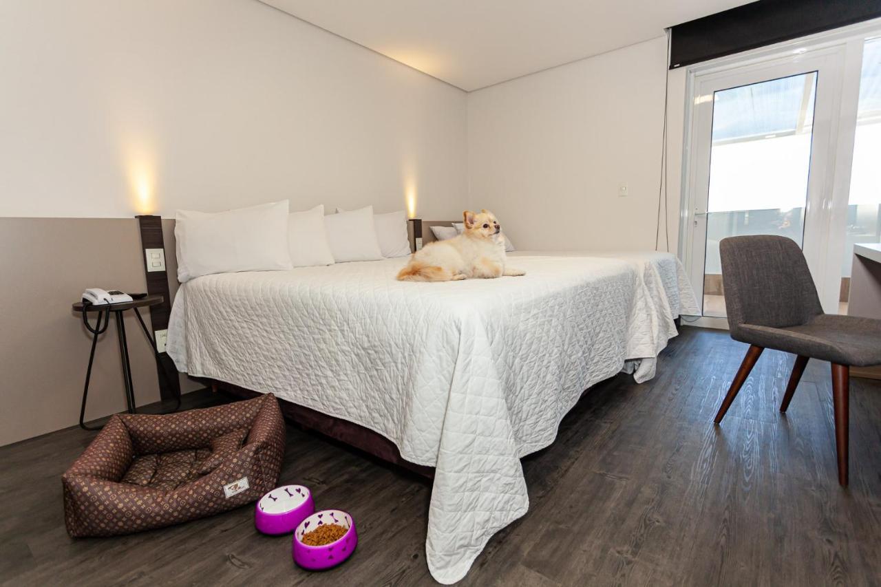 Travel Inn Hotels Кашіас-ду-Сул Екстер'єр фото