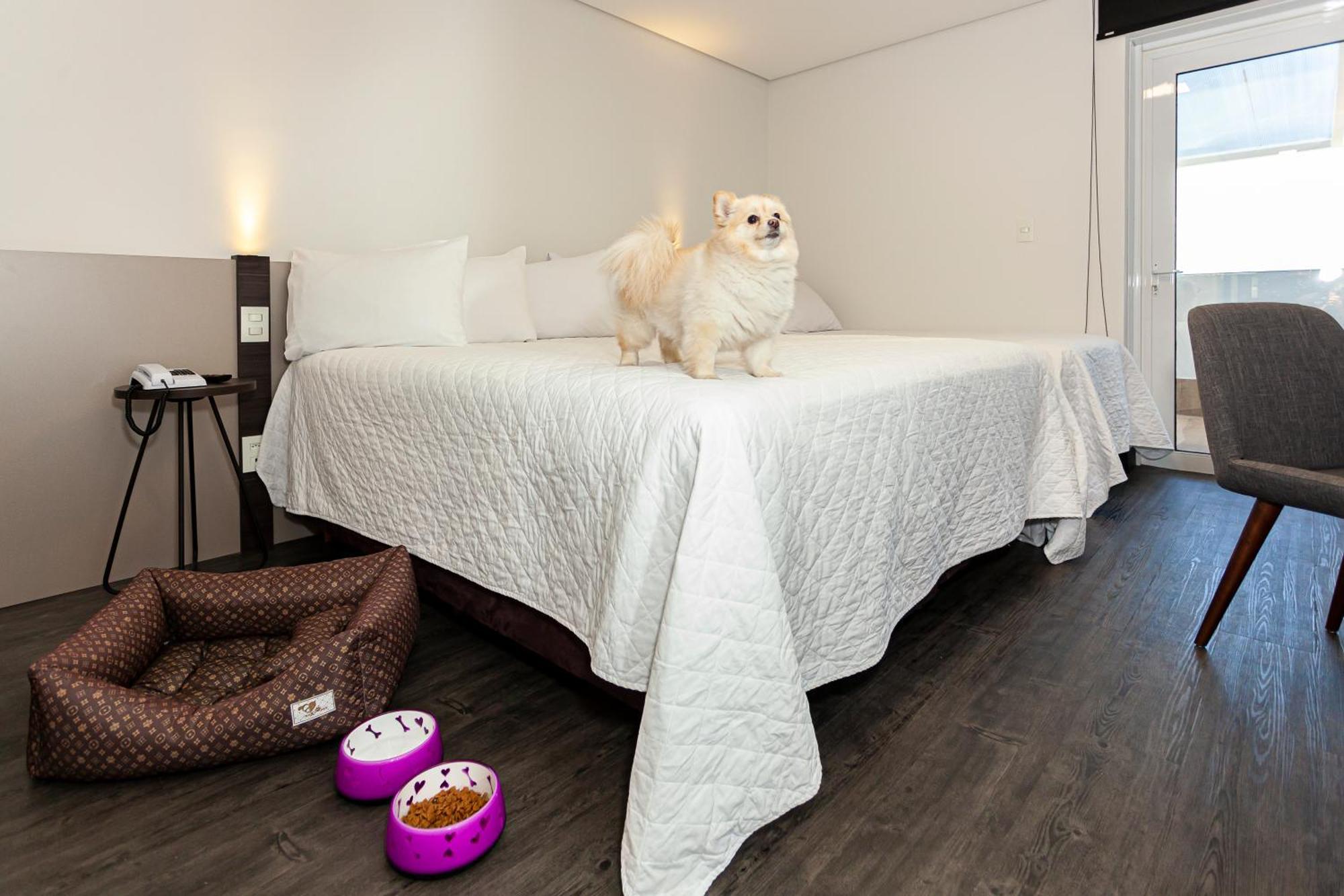Travel Inn Hotels Кашіас-ду-Сул Екстер'єр фото